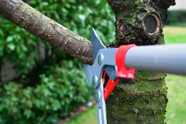 tree services Mount Union